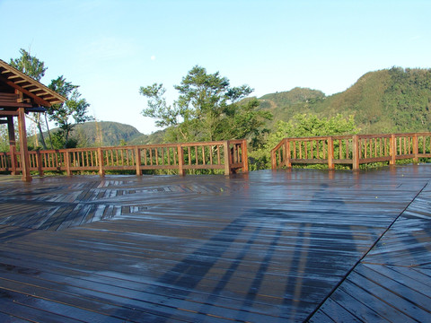 阿里山風光