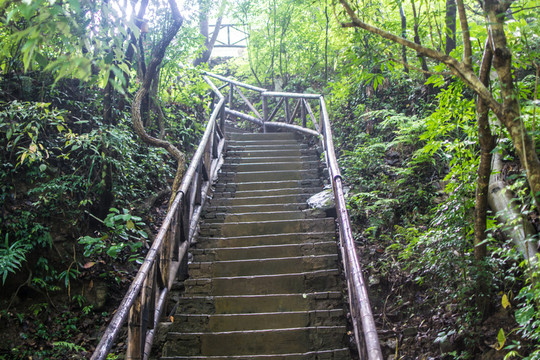 屏山牧場
