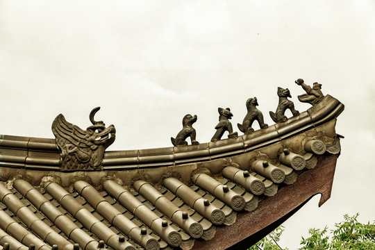 五脊六獸