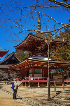 日本高野山壇上伽藍(lán)東塔