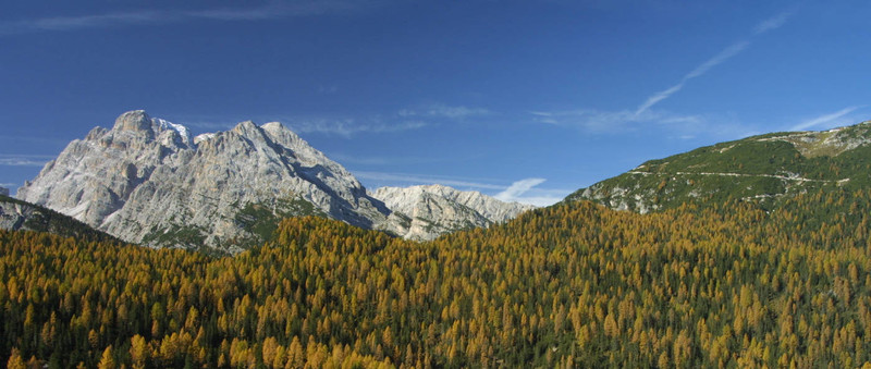 山