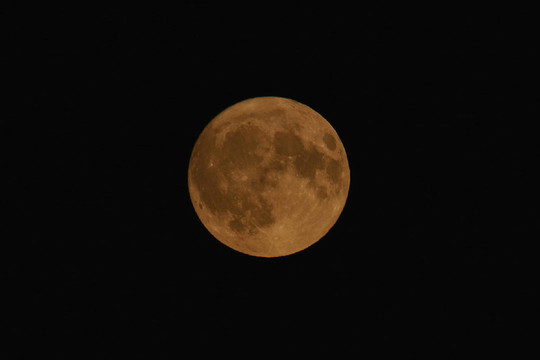 夜