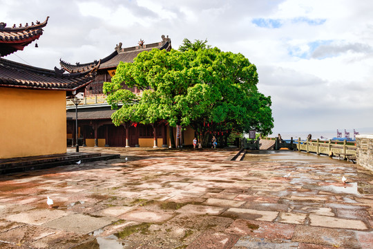 招寶山寺廟