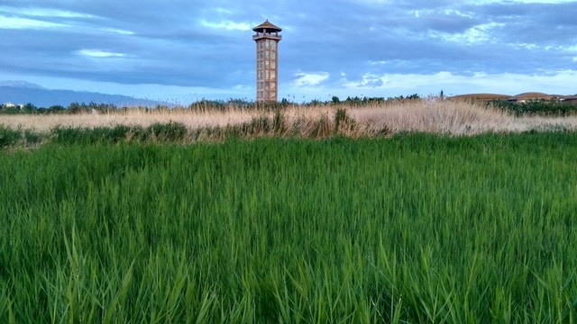 張掖國家濕地公園