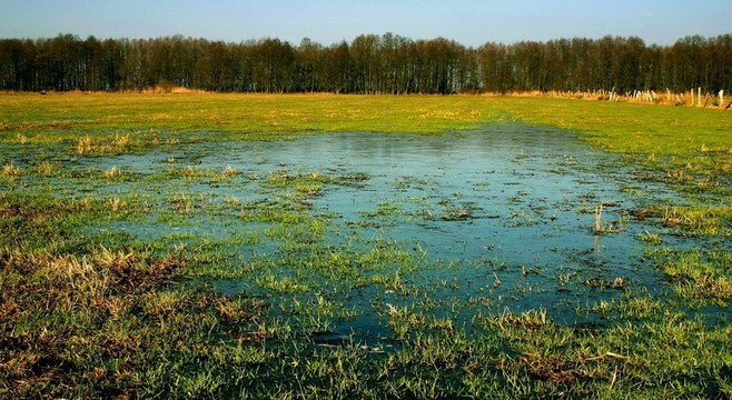 淹沒