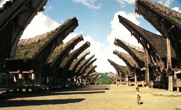 獨(dú)自一人在家