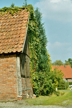 schuppen1