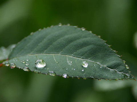 多雨的天氣