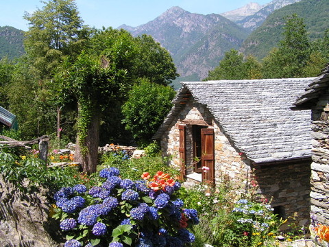 山