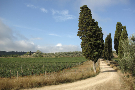massanera