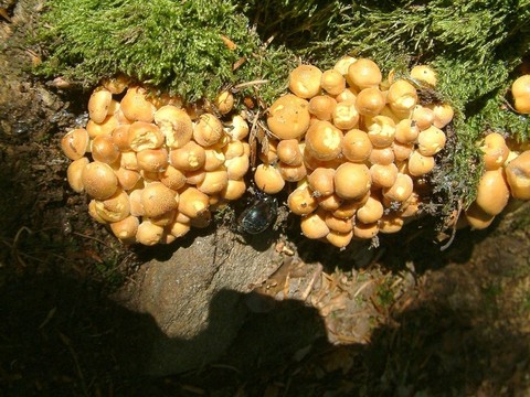 完全在陽(yáng)光下