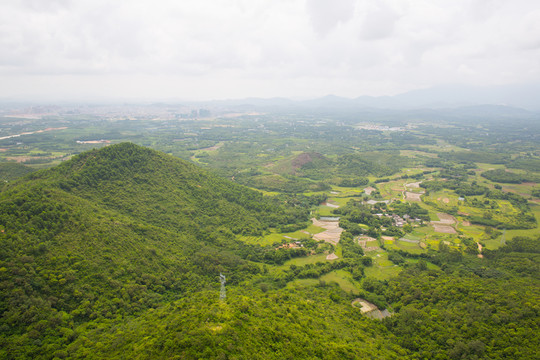 高山 樹林 綠色