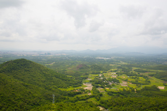 樹林 高山 大垌山