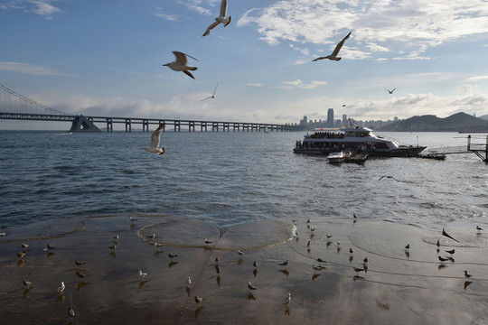 大連星海廣場(chǎng) 大連灣 跨海大橋