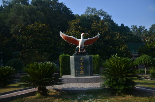 朱鹮保護(hù)區(qū) 朱鹮雕塑