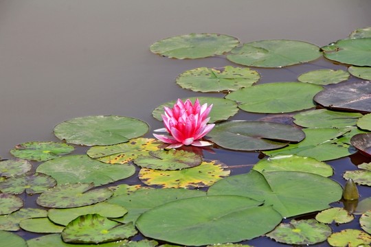 壁山秀湖公園