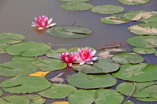 壁山秀湖公園