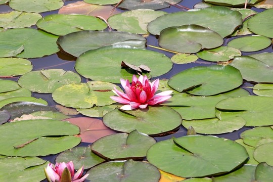 壁山秀湖公園