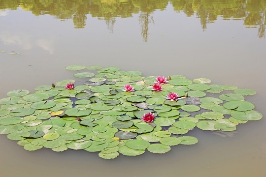 壁山秀湖公園
