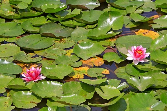 壁山秀湖公園