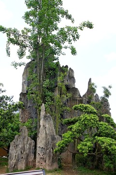 壁山秀湖公園