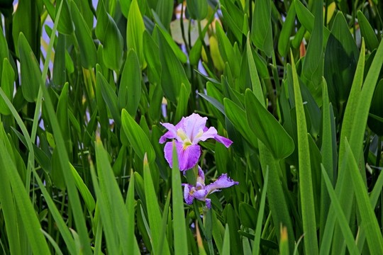 壁山秀湖公園