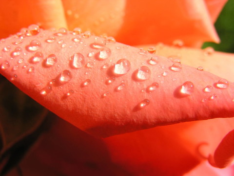 雨后1