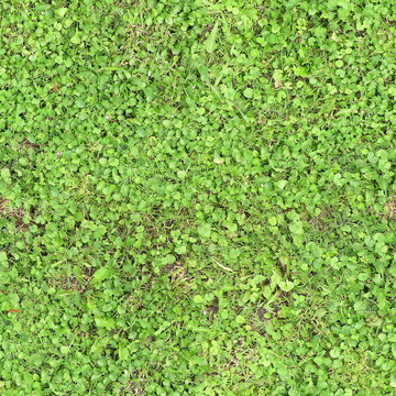 紋理自然018