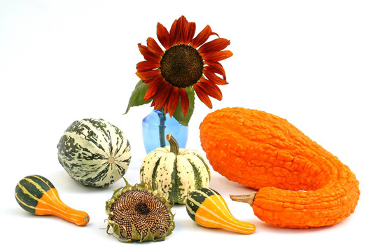herbstliches1