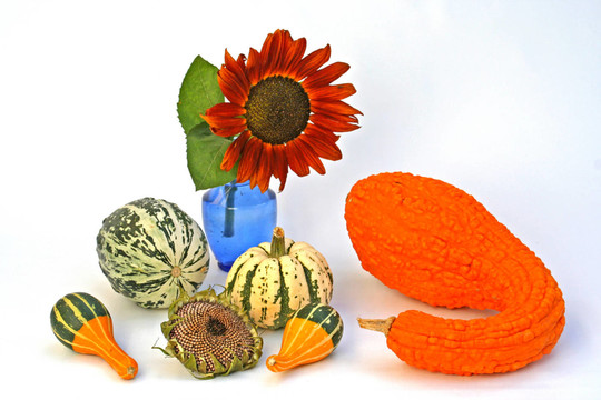 herbstliches3