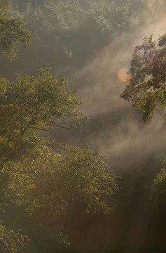 清晨的薄霧我