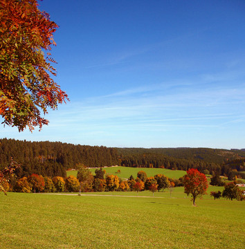 herbstimpressionen