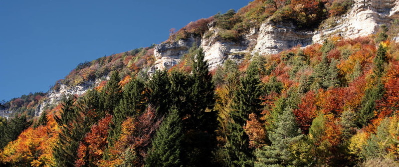 herbstimpressionen VI