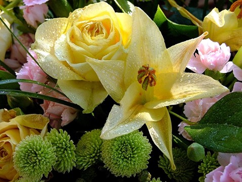 一束花