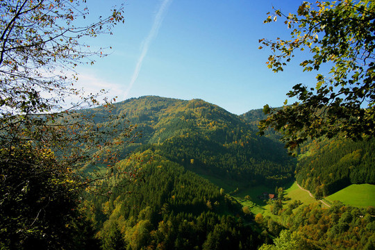 黑森林PUR