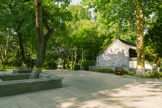 公園