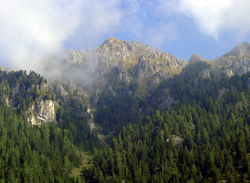 山