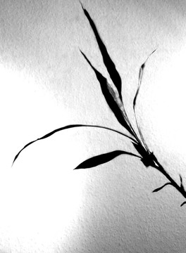 竹