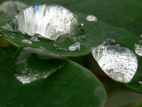 雙鏡滴