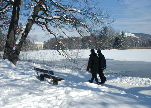 公園