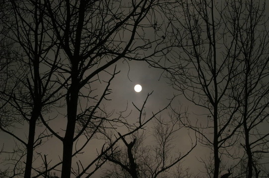 太陽(yáng)