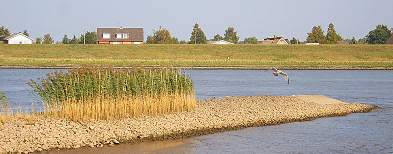 在Süderelbe