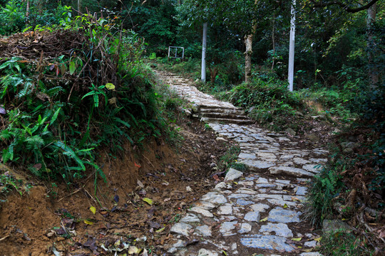 山路 石階