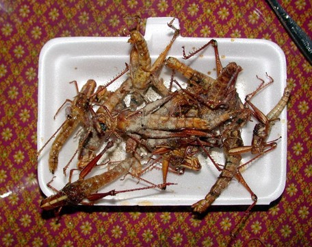 好一個(gè)可愛(ài)