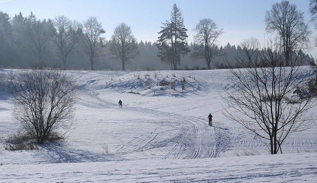 越野滑雪