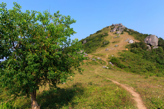 五皇山 山坡