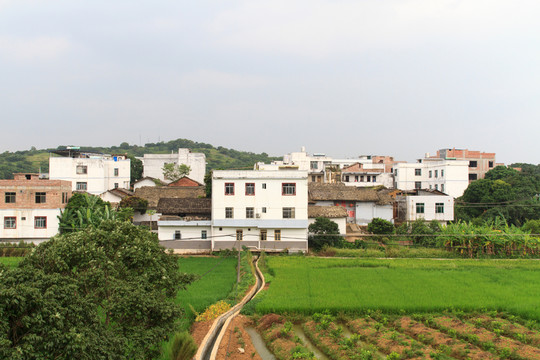 鄉(xiāng)村 農(nóng)村