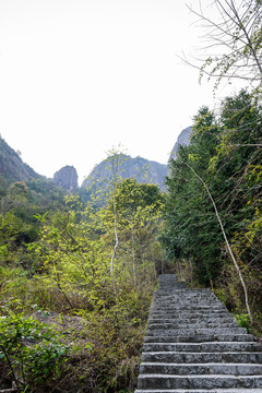崖下庫風景區(qū)山道