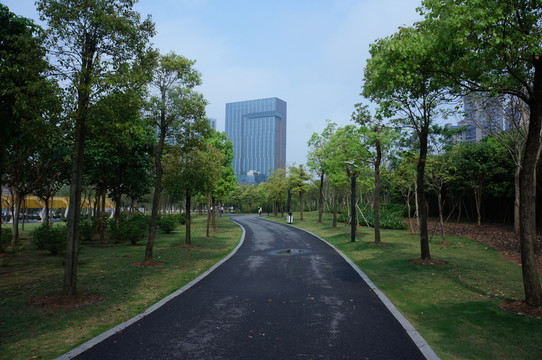 惠州金山湖公園道路
