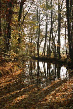 herbststimmung02